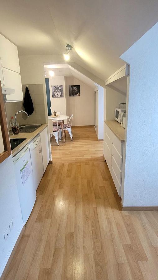 L'esquiros, Studio, Centre Luchon, Casier A Skis, Wifi, Ascenseur, 3 Personnes *